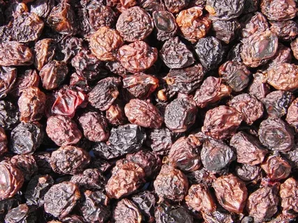 تصویر 3 از قیمت آلو بخارا آفتابی + خرید باور نکردنی